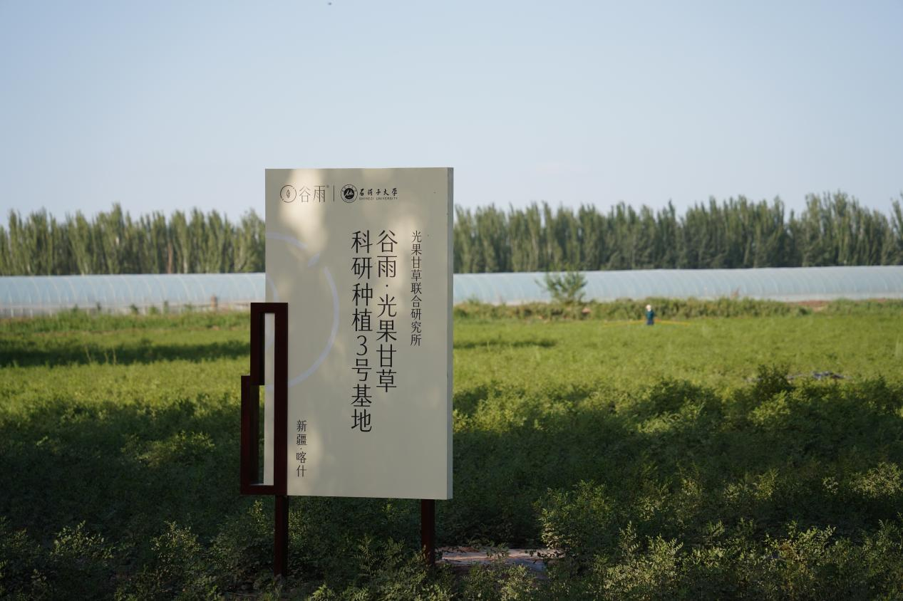 图片 10.png